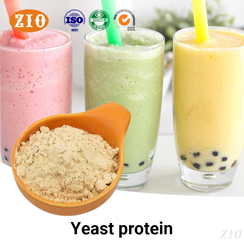 Light beige yeast protein powder in a bowl for sports nutrition formulation