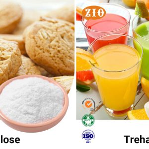Organic Food Grade Trehalose Stabilizer for Dairy Sauces Sna