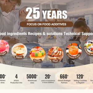 Multi Flavor OEM Milk Based Ice Cream Powder